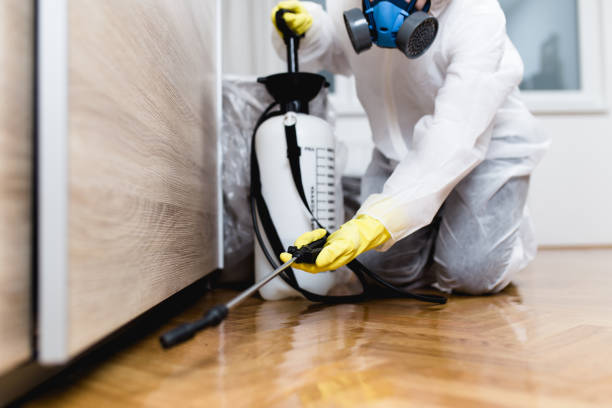 Best Exterminator Services  in Cabot, AR
