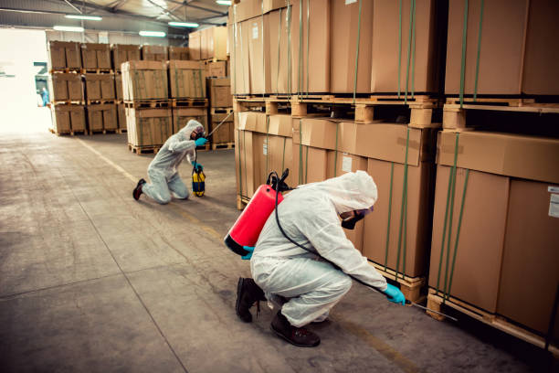 Reliable Cabot, AR Pest Control Solutions