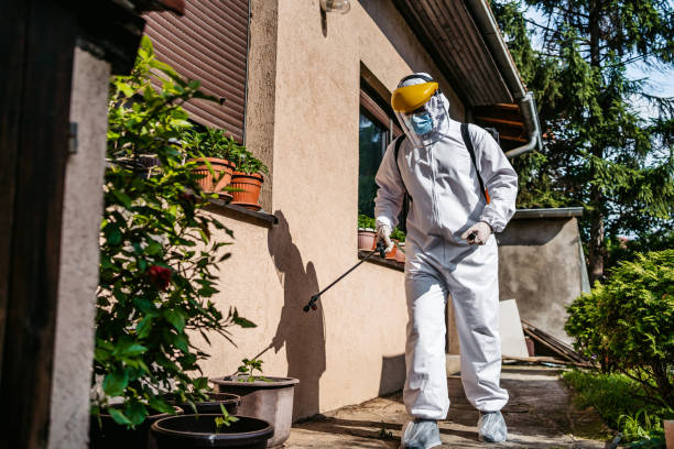 Best Flea Control Services  in Cabot, AR