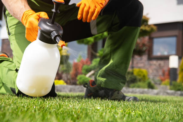 Best Best Pest Control Companies  in Cabot, AR