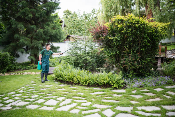 Best Affordable Pest Control Services  in Cabot, AR