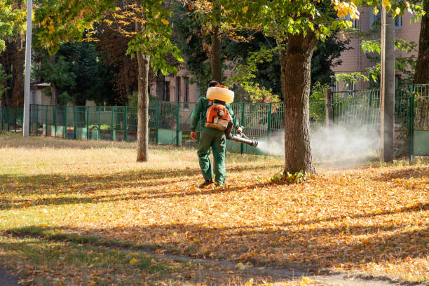 Best Local Pest Control Services  in Cabot, AR