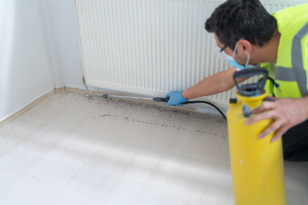 Best Affordable Pest Control Services  in Cabot, AR