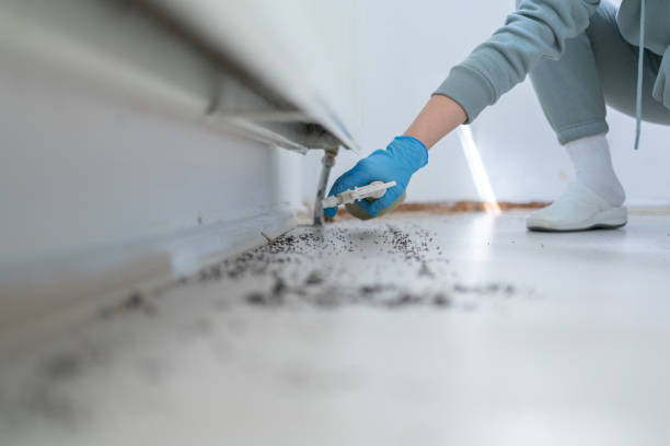 Best Cockroach Control Services  in Cabot, AR